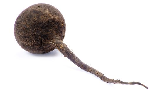 black radish isolated on white background