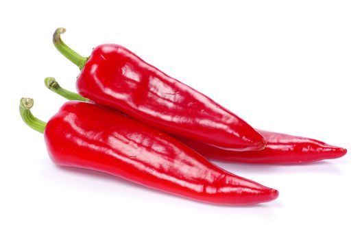 red hot chili pepper on white