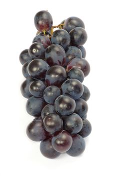 The branch of grapes with water drops