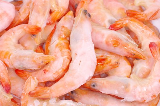 fresh shrimp background close up