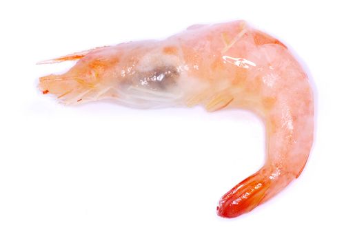 shrimp isolated on a white background