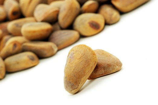 Brown cedar nuts fruit on white background