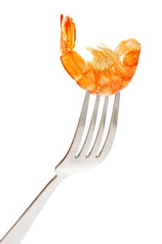 Shrimp on fork over white background