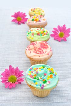 Delicious cupcakes with pink daisies