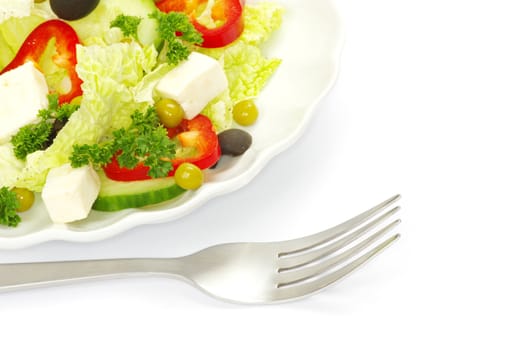 salad isolated on white background