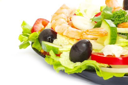 salad in plate on white