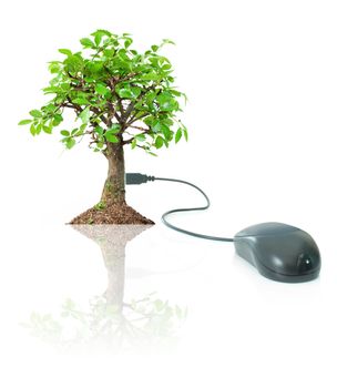 Computer mouse cable connected to a tree 