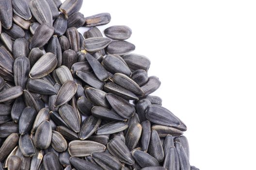 sunflower seeds isolated on white
