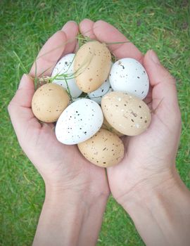 Hands holding speckled easter eggs against a grass background 