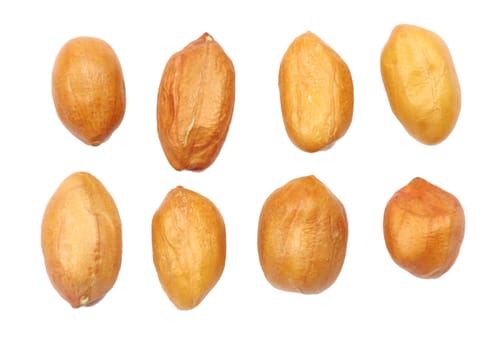 peanuts isolated on white background