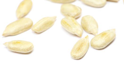 sunflower seeds isolated on white