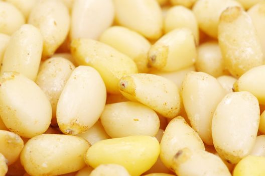 Close up of a background pine nuts