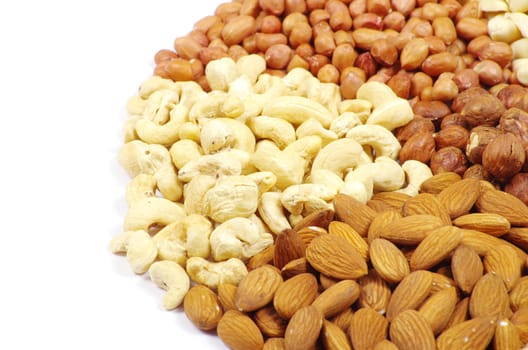 nuts collection isolated on background