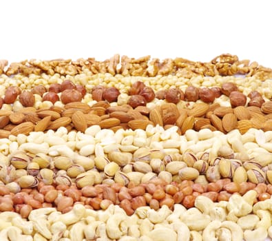 mixed nuts on a background