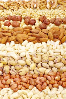 various nuts on a background