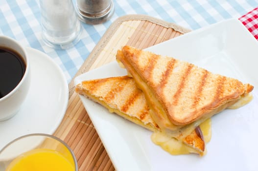 Toasted sandwich with melted cheese 