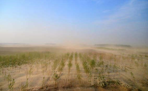 View of the sand storm in day time. North east China.