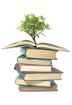 Isolated image of a tree growing from an open book 