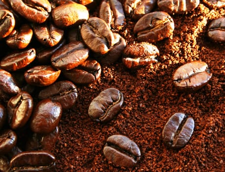 Heap of burnt brown arabica coffee beans 
