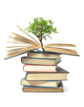 Isolated image of a tree growing from an open book 