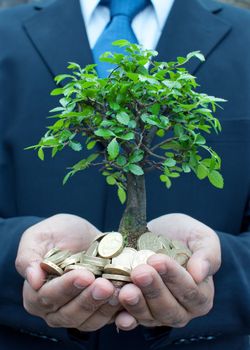 Businessman holding a small tree growing from money 