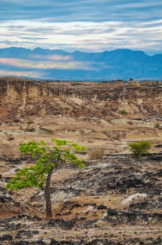 View of dry desolate desert with Andes Mountains in the background