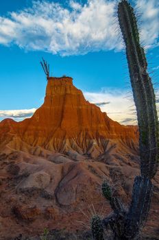 A tall cactus and a tall red tower of rock in Tatacoa desert in Huila, Colombia