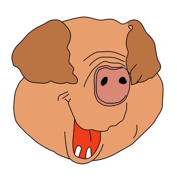 drawing pig on white background