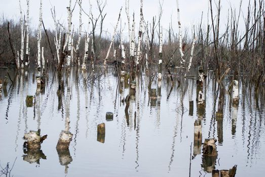 bad ecology .Dead landscape. Water with poison