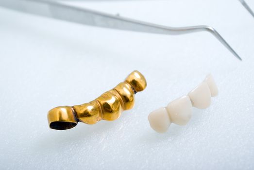 teeth mold and prosthetic devices.