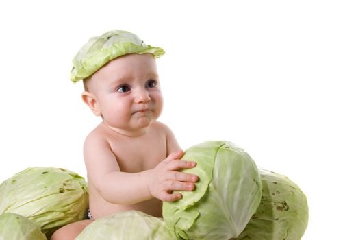 acquaintance with useful vegetable,small boy and cabbage