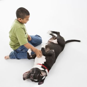 Young hispanic boy petting black and white dog on floor.