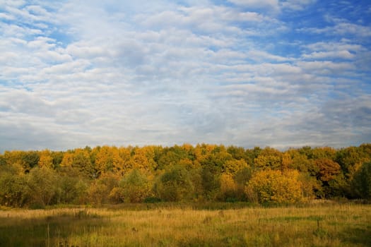 autumn landscape on a background of clouds