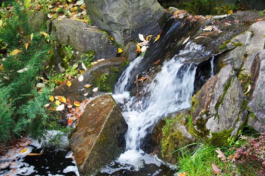 small beautiful falls among stones and autumn leaves