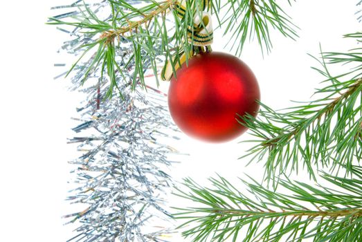 Christmas bauble  on background of the fur branches,red ball