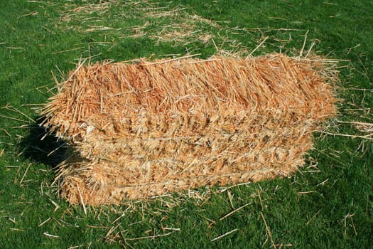 Bale of hay on a field on a sunny day.
