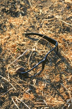 Close up of broken glasses on grass.
