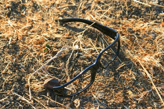 Close up of broken glasses on grass.
