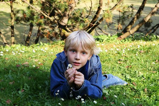 The Young Boy on a Green Lawn