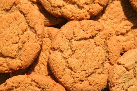 Close up of ginger snap cookies on a plate.
