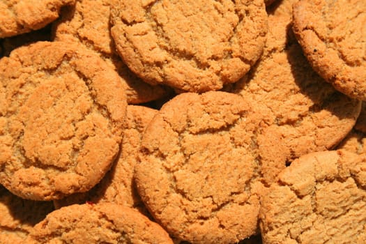 Close up of ginger snap cookies on a plate.
