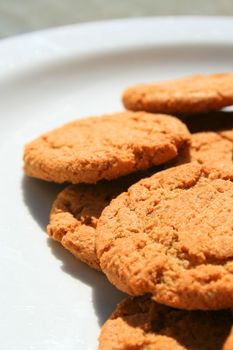 Close up of ginger snap cookies on a plate.
