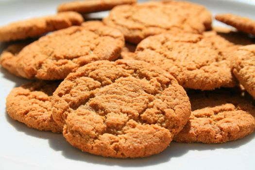 Close up of ginger snap cookies on a plate.
