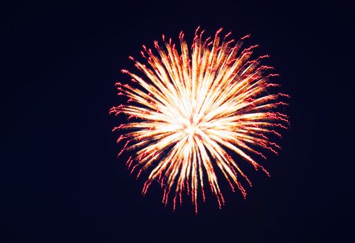 Exploding firework and firework trail  in dark skys