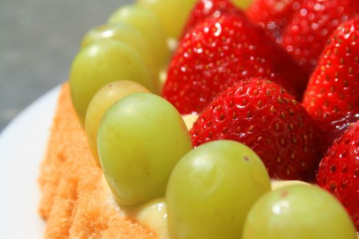 Close up of a fruit cake on a plate.
