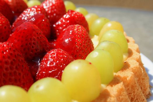 Close up of a fruit cake on a plate.
