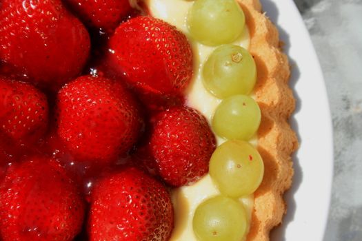 Close up of a fruit cake on a plate.
