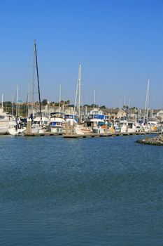 Big new marina on a sunny day.
