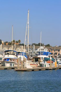 Big new marina on a sunny day.
