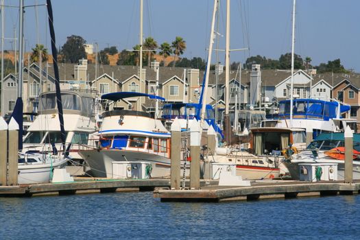 Big new marina on a sunny day.

